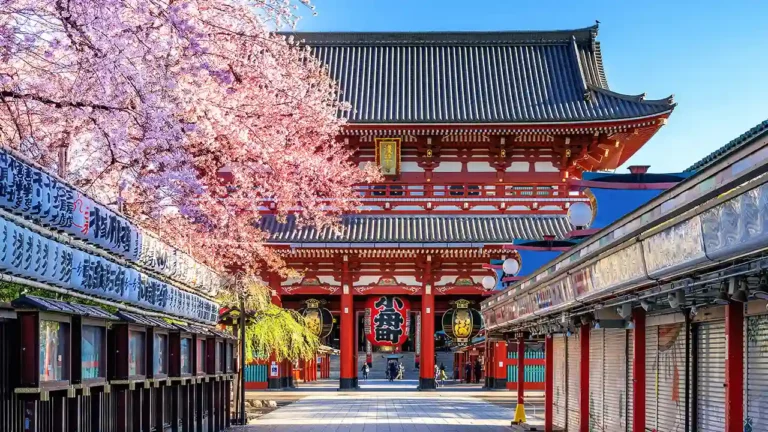 Japanese Language (JLPT) N3 Course for Intermediate